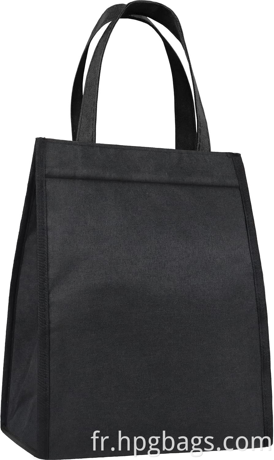 Large Adult Lunch Box Tote Bag